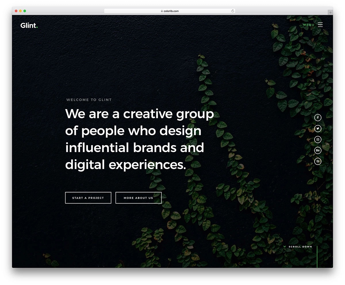 plantilla html de destello