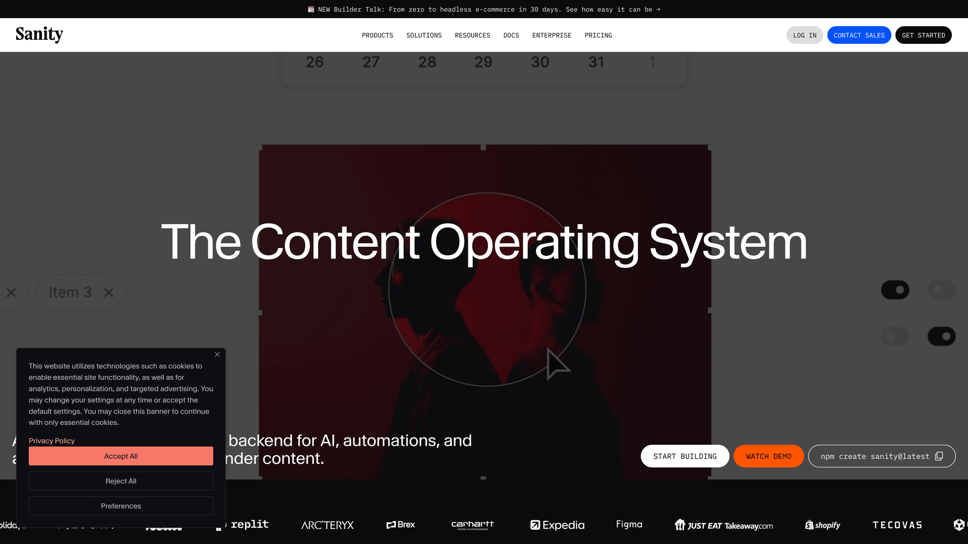 Sanity - headless CMS website screenshot