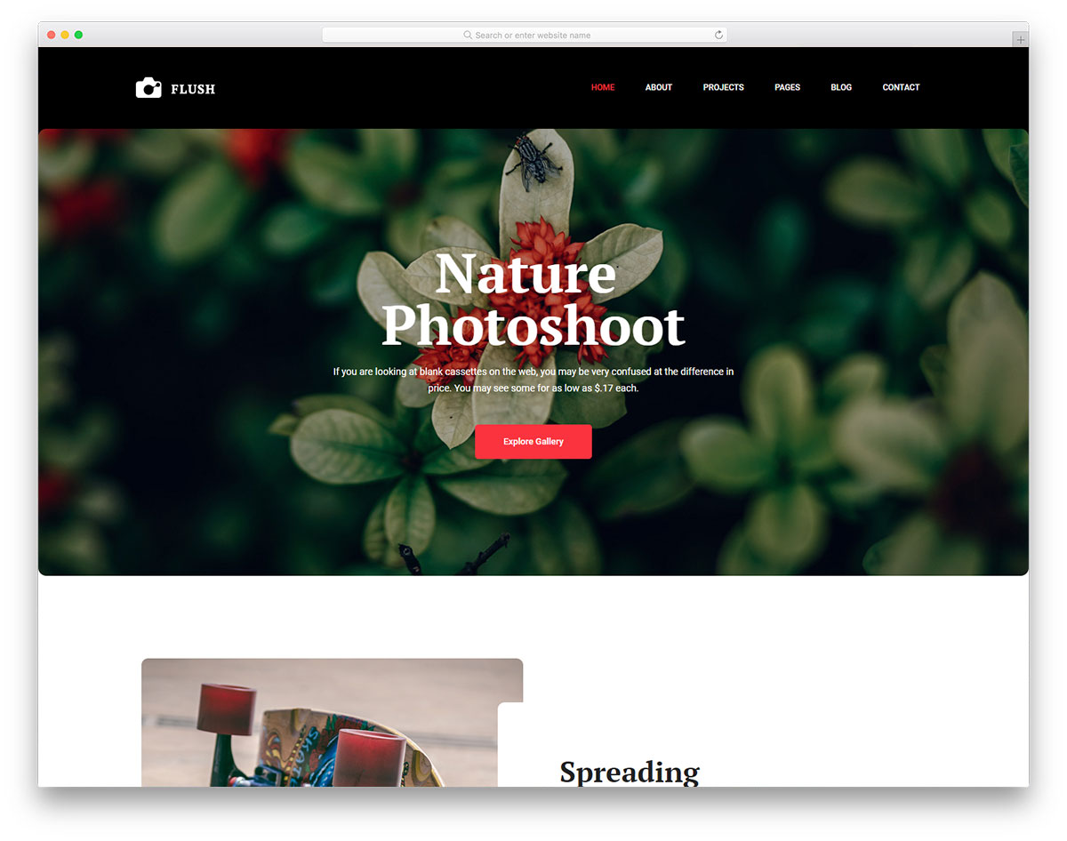flash free bootstrap photography gallery template